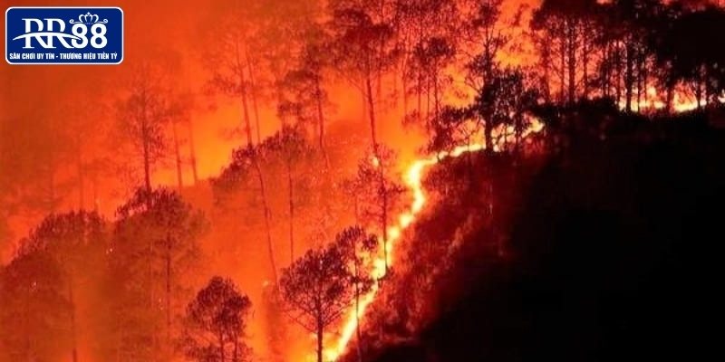 Giấc mơ về lửa lớn không kiểm soát