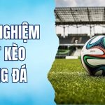 kinh nghiệm bắt kèo bóng đá