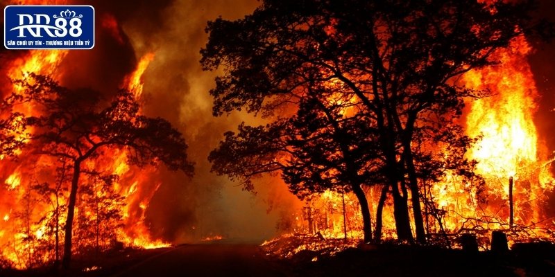 Nằm mơ thấy lửa là giấc chiêm bao phổ biến