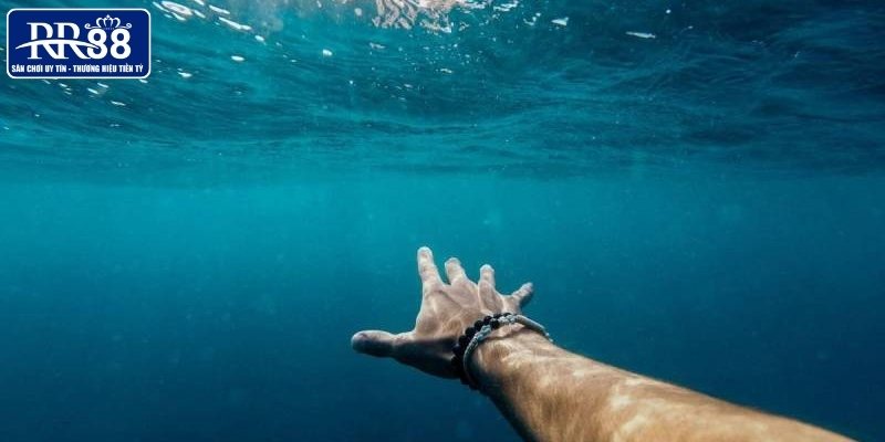 Phân tích cách vào tiền từ giải mã giấc mơ